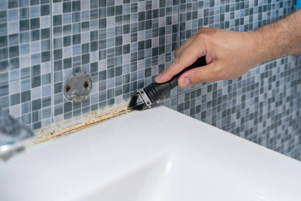 Best Basement Mold Remediation in St Charles, IL